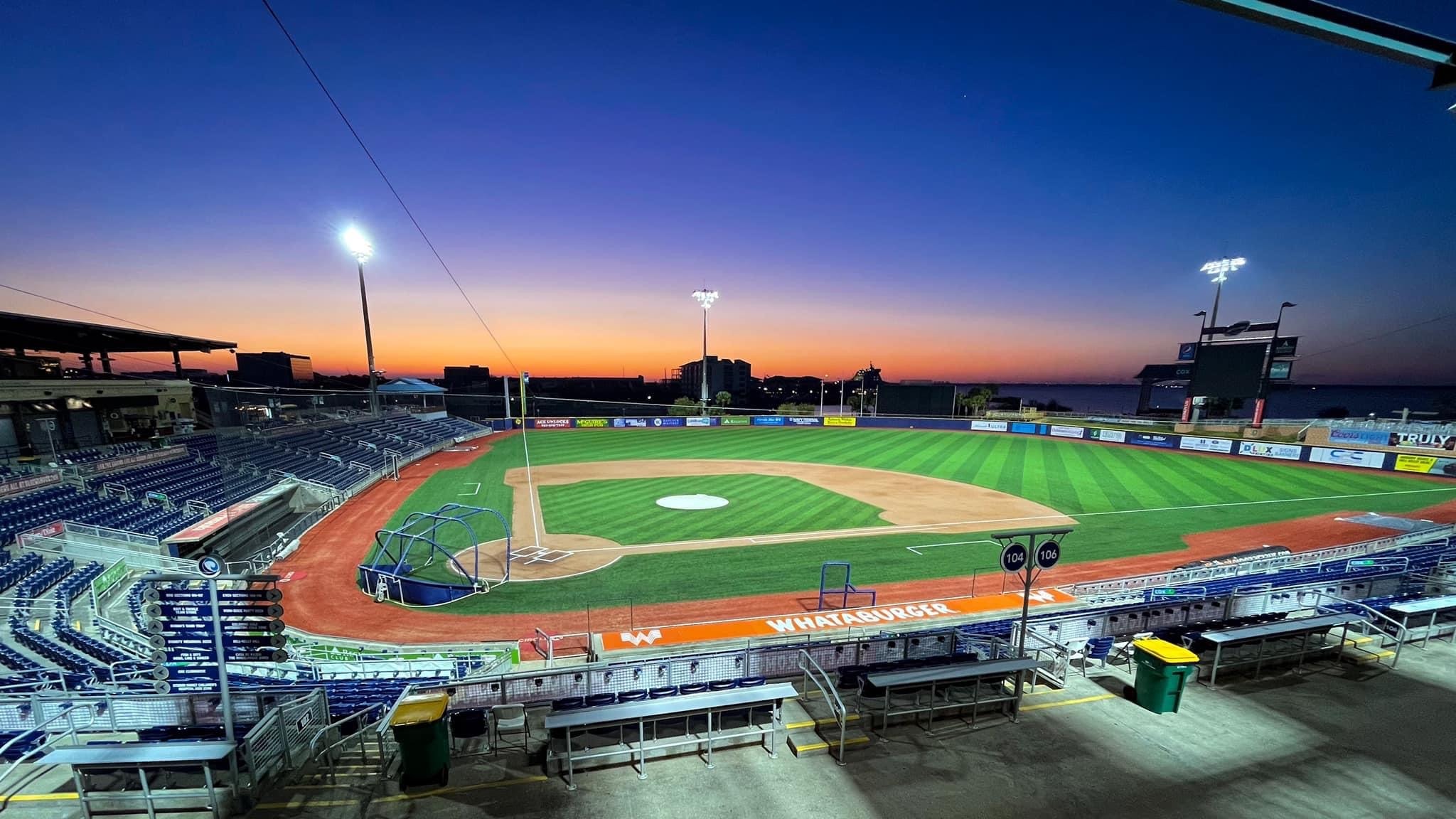 Blue Wahoos Baseball